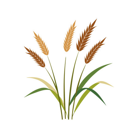 Charming Melinis Grass for Unique Art