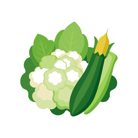 Creamy Cauliflower Zucchini Blendのイラスト素材