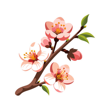 Creative Apricot Blossom Flower Nature Designのイラスト素材