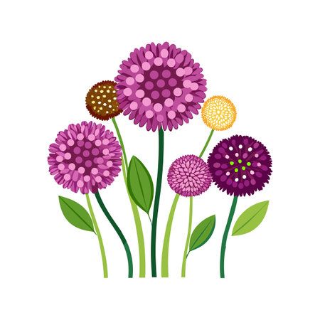 Charming Allium Flower Design Artのイラスト素材