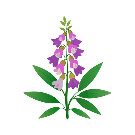 Elegant Angelonia Floral Design Artのイラスト素材