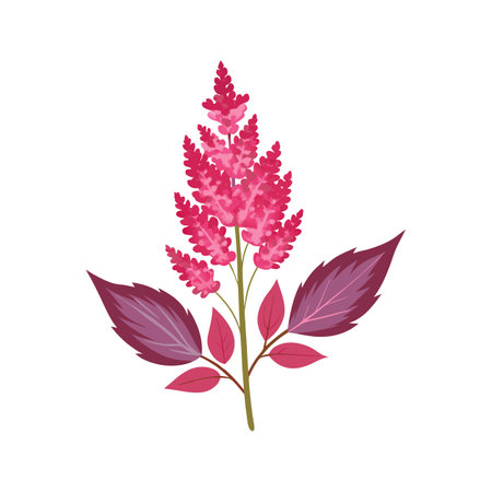 Vibrant Astilbe Floral Nature Artworkのイラスト素材