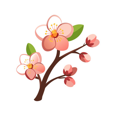 Beautiful Apricot Blossom Flower Nature Illustrationのイラスト素材