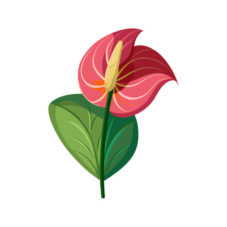 Charming Anthurium Floral Design Artのイラスト素材