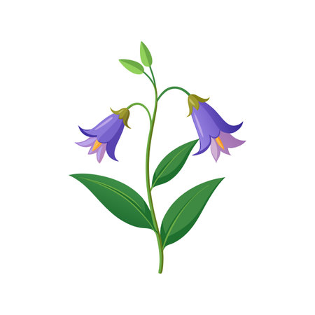 Beautiful Bellflower Flower Nature Artworkのイラスト素材