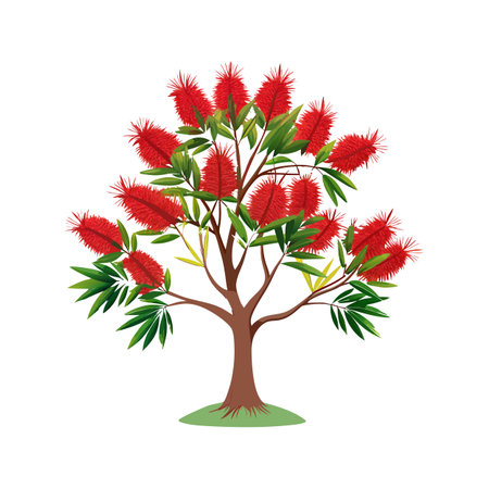 Charming Bottlebrush Flower Illustrationのイラスト素材