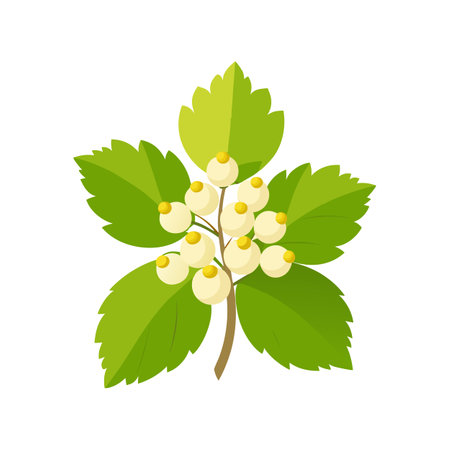 Beautiful Currant Flower Artworkのイラスト素材