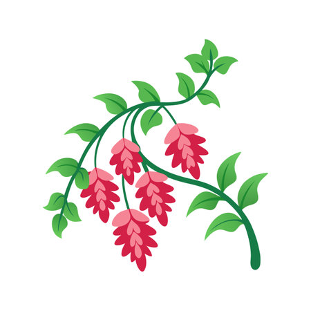 Stunning Coral Vine Flower Artworkのイラスト素材