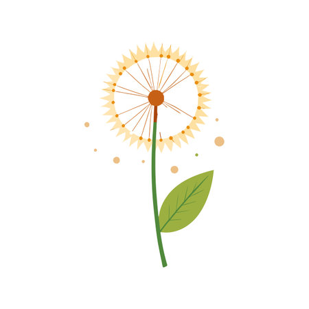 Beautiful Dandelion Flower Illustrationのイラスト素材