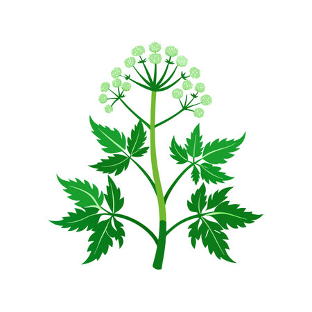 Coriander plant icon. Flat color design. Vector illustration.のイラスト素材
