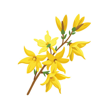 Elegant Forsythia Flower with Unique Designのイラスト素材