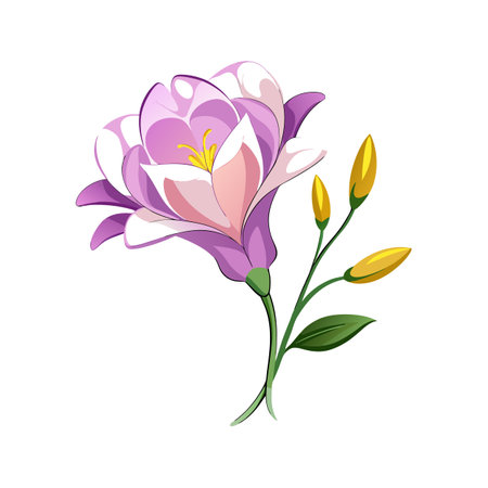Vibrant Freesia Plant with Beautiful Bloomsのイラスト素材