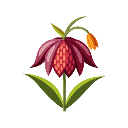 Charming Fritillaria Plant with Striking Appearanceのイラスト素材