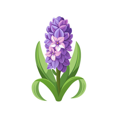 Charming Hyacinth Plant with Unique Featuresのイラスト素材
