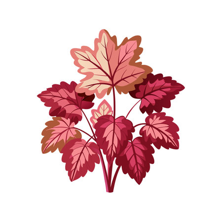 Charming Heuchera with Colorful Bloomsのイラスト素材