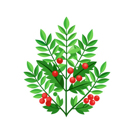 Holly Fern Plant Design with Unique Featuresのイラスト素材