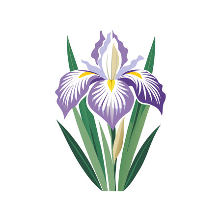 Japanese Iris Flower Design with Unique Featuresのイラスト素材