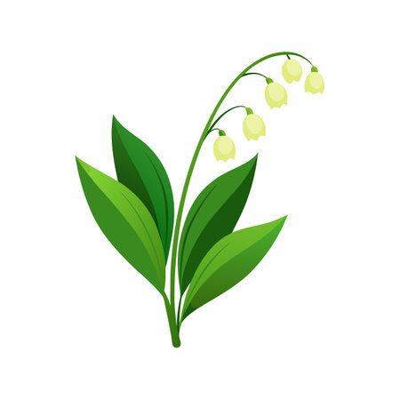 Charming Lily of the Valley with Colorful Bloomsのイラスト素材