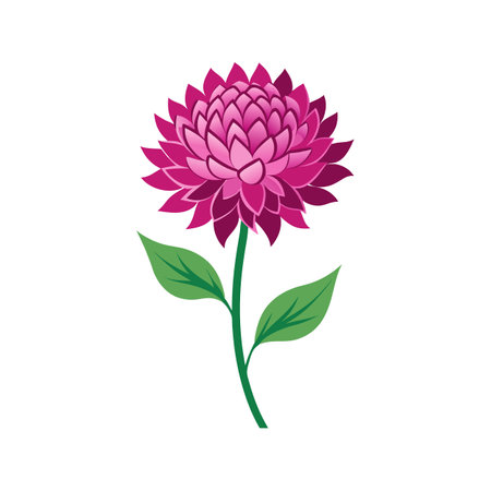 Stunning Knautia Plant with Unique Bloomsのイラスト素材