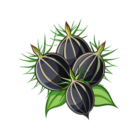 Vibrant Nigella for Eye-Catching Graphic Artのイラスト素材