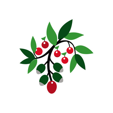 Vibrant Palestine Viscum for Stunning Floral Designsのイラスト素材