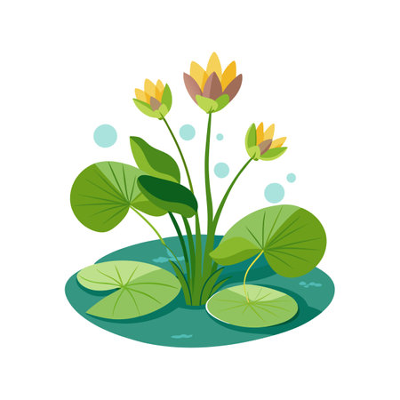 Vibrant Nymphoides for Creative Floral Artのイラスト素材