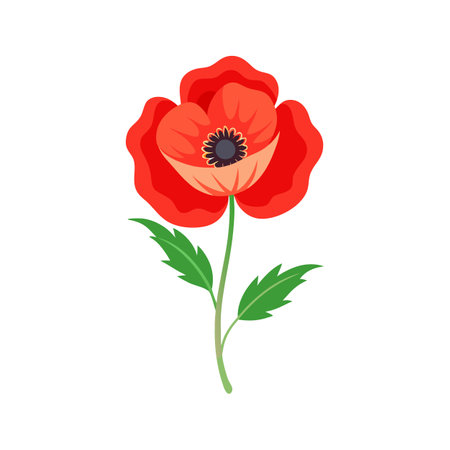 Charming Papaver Somniferum for Artistic Designsのイラスト素材