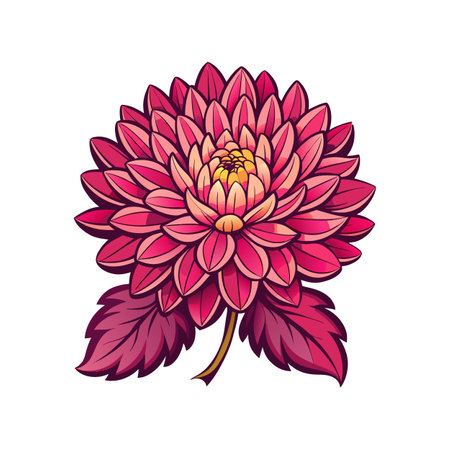 Lovely Chrysanthemum Flower Illustrationのイラスト素材