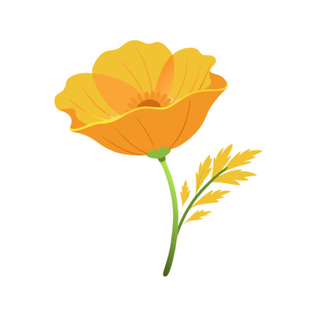 Elegant Golden Poppy Flower Design with Bright Colorsのイラスト素材