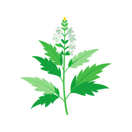 Vibrant Mugwort for Creative Graphic Designs