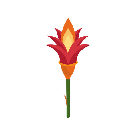 Vibrant Torch Lily for Beautiful Floral Designsのイラスト素材