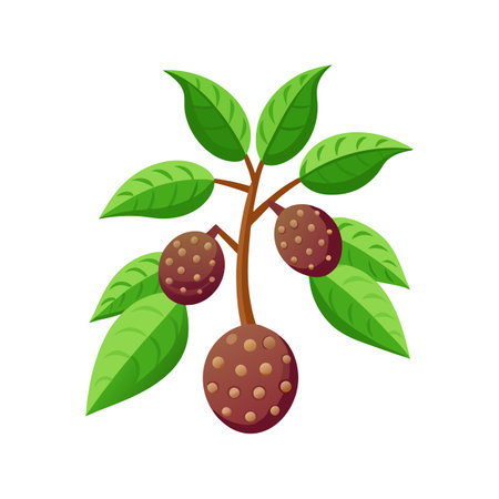 Charming Tapioca Plant for Unique Floral Artのイラスト素材