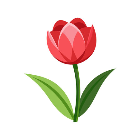 Charming Tulip for Unique Floral Artのイラスト素材