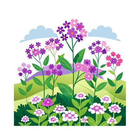 Beautiful Verbena for Nature Loversのイラスト素材