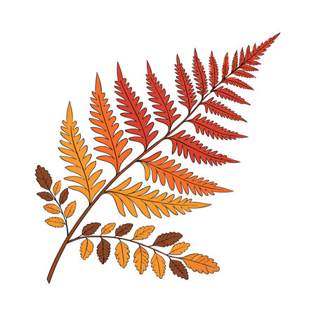 Autumn Fern on Bright Whiteのイラスト素材