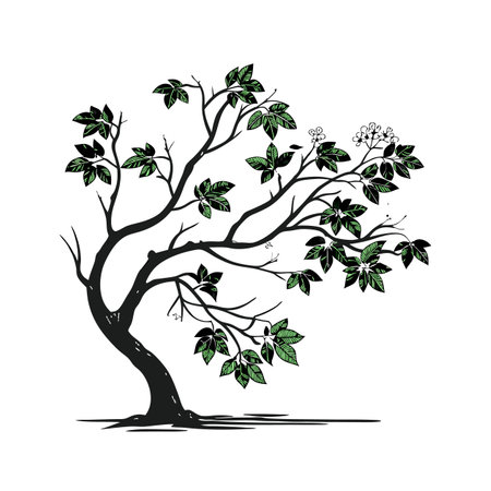 Stylish Arboricola on White Canvasのイラスト素材