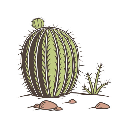 Stylish Barrel Cactus on White Canvasのイラスト素材