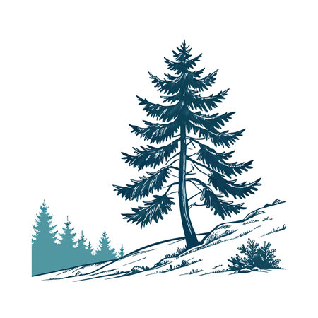 Stylish Blue Spruce on White Canvasのイラスト素材