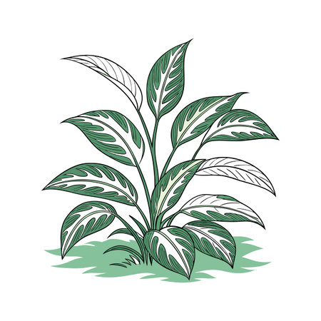 Vibrant Chinese Evergreen Plant Design for Decorのイラスト素材