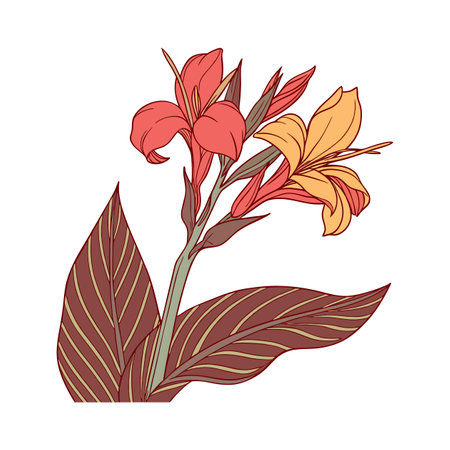 Elegant Canna Lily Artwork for Beautiful Interiorsのイラスト素材