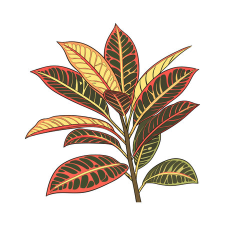 Charming Codiaeum Variegatum Plant Illustration