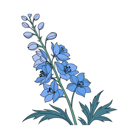 Delphinium Flowers on White Backgroundのイラスト素材