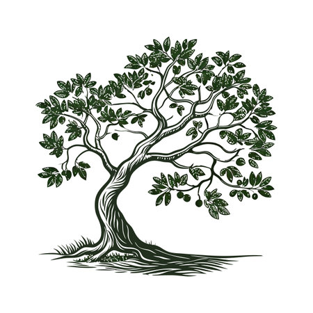 Elegant Fig Tree Ficus Displayのイラスト素材