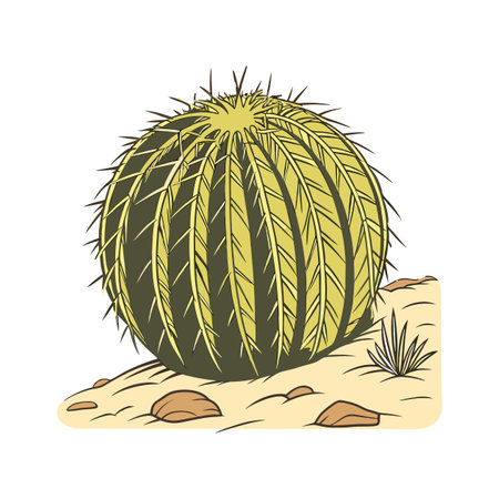 Golden Barrel Cactus Botanical Designのイラスト素材