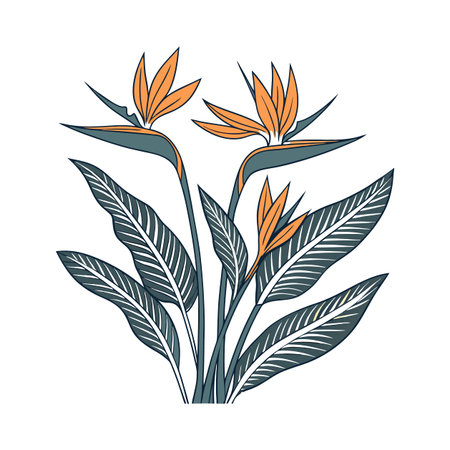 Giant Bird of Paradise Flower Unique Art Displayのイラスト素材