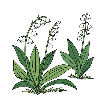 Stunning Groundcover Plants Illustrationのイラスト素材