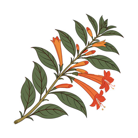 Vibrant Goldfish Plant Artworkのイラスト素材