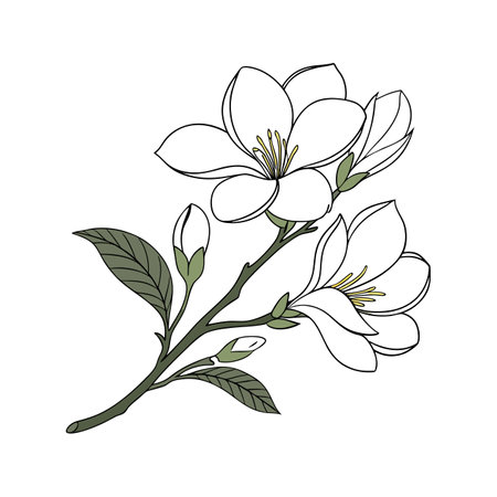 Elegant Gardenia Flower Artistic Illustration Designのイラスト素材