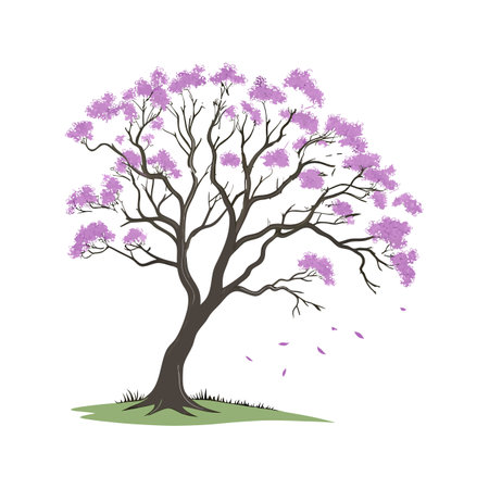 Jacaranda Flower Composition on Whiteのイラスト素材