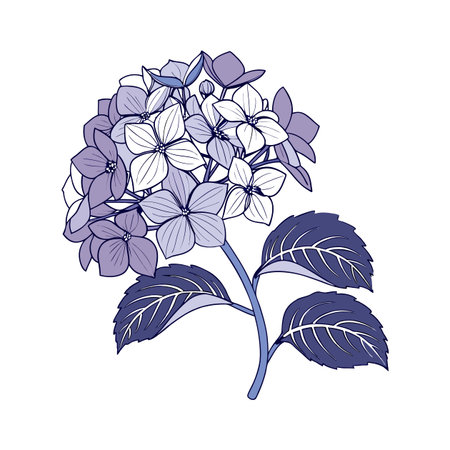 Artistic Hydrangea Visualizationのイラスト素材
